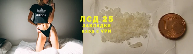 PSILOCYBIN Алексеевка