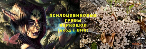 PSILOCYBIN Алексеевка