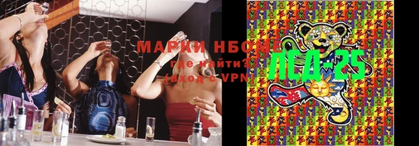 молекула духа Арсеньев