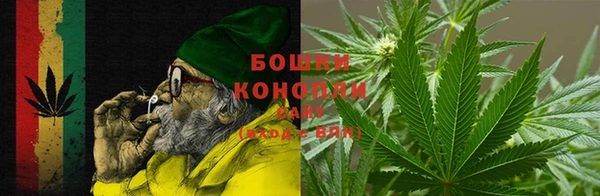 спиды Аркадак