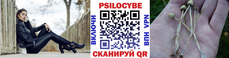 Псилоцибиновые грибы мицелий  Валдай 